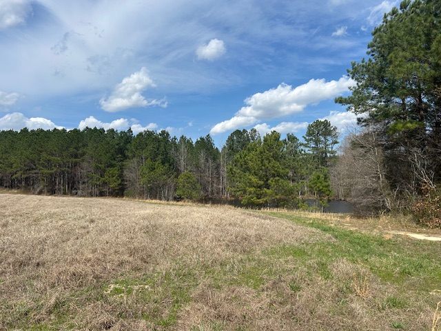 10.159 Acres on Brassfield Road — Pond, Pasture, South Granville photo 2