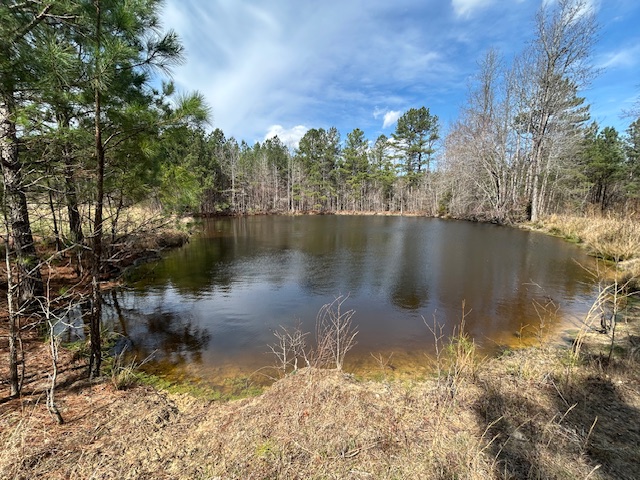 10.159 Acres on Brassfield Road — Pond, Pasture, South Granville photo 3