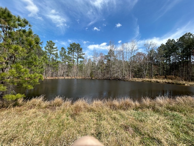 10.159 Acres on Brassfield Road — Pond, Pasture, South Granville photo 4