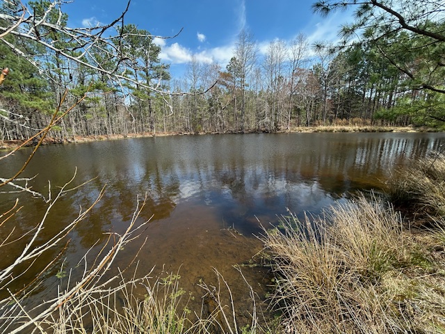 10.159 Acres on Brassfield Road — Pond, Pasture, South Granville photo 5