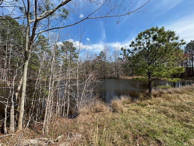 10.159 Acres on Brassfield Road — Pond, Pasture, South Granville photo 6