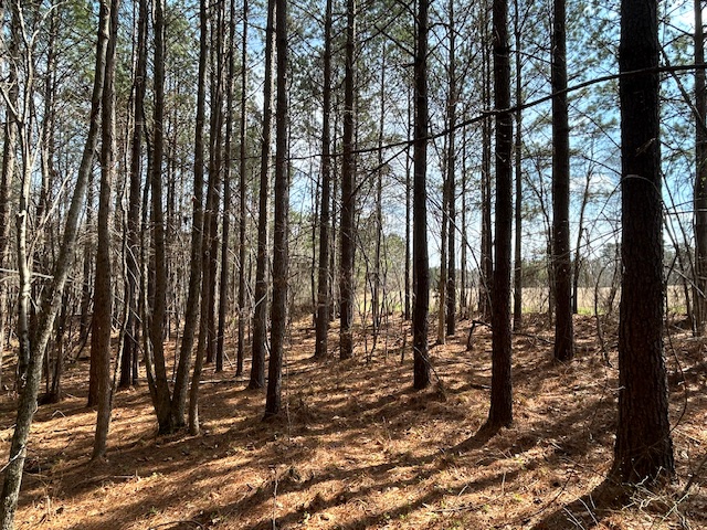 10.159 Acres on Brassfield Road — Pond, Pasture, South Granville photo 8