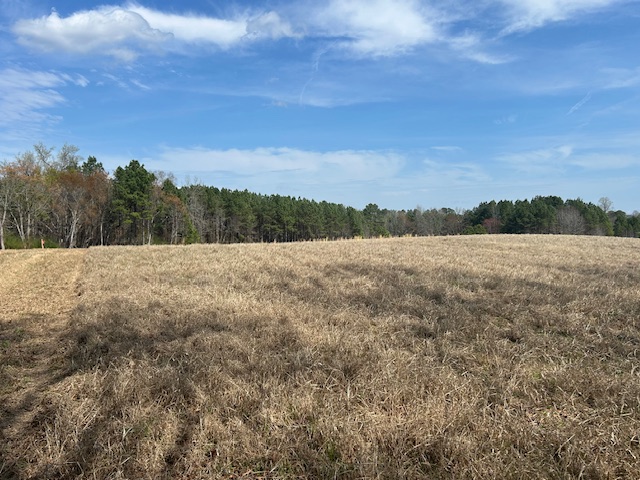 10.159 Acres on Brassfield Road — Pond, Pasture, South Granville photo 13