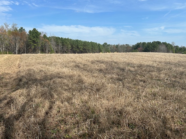 10.159 Acres on Brassfield Road — Pond, Pasture, South Granville photo 14