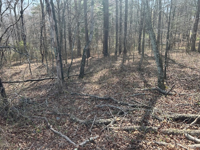 10.159 Acres on Brassfield Road — Pond, Pasture, South Granville photo 15