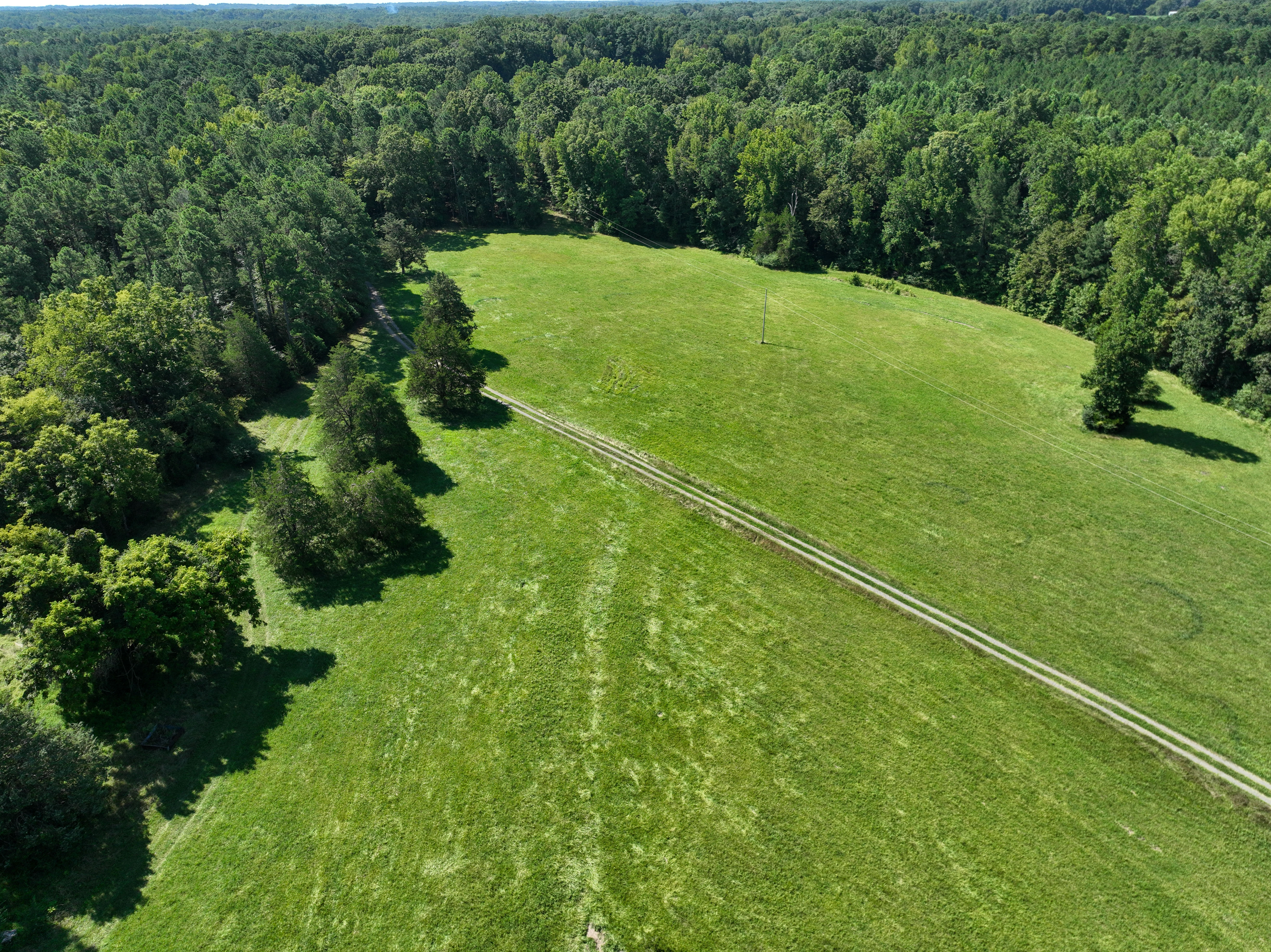 Cannady Mill Farms — Homestead Tracts photo 5