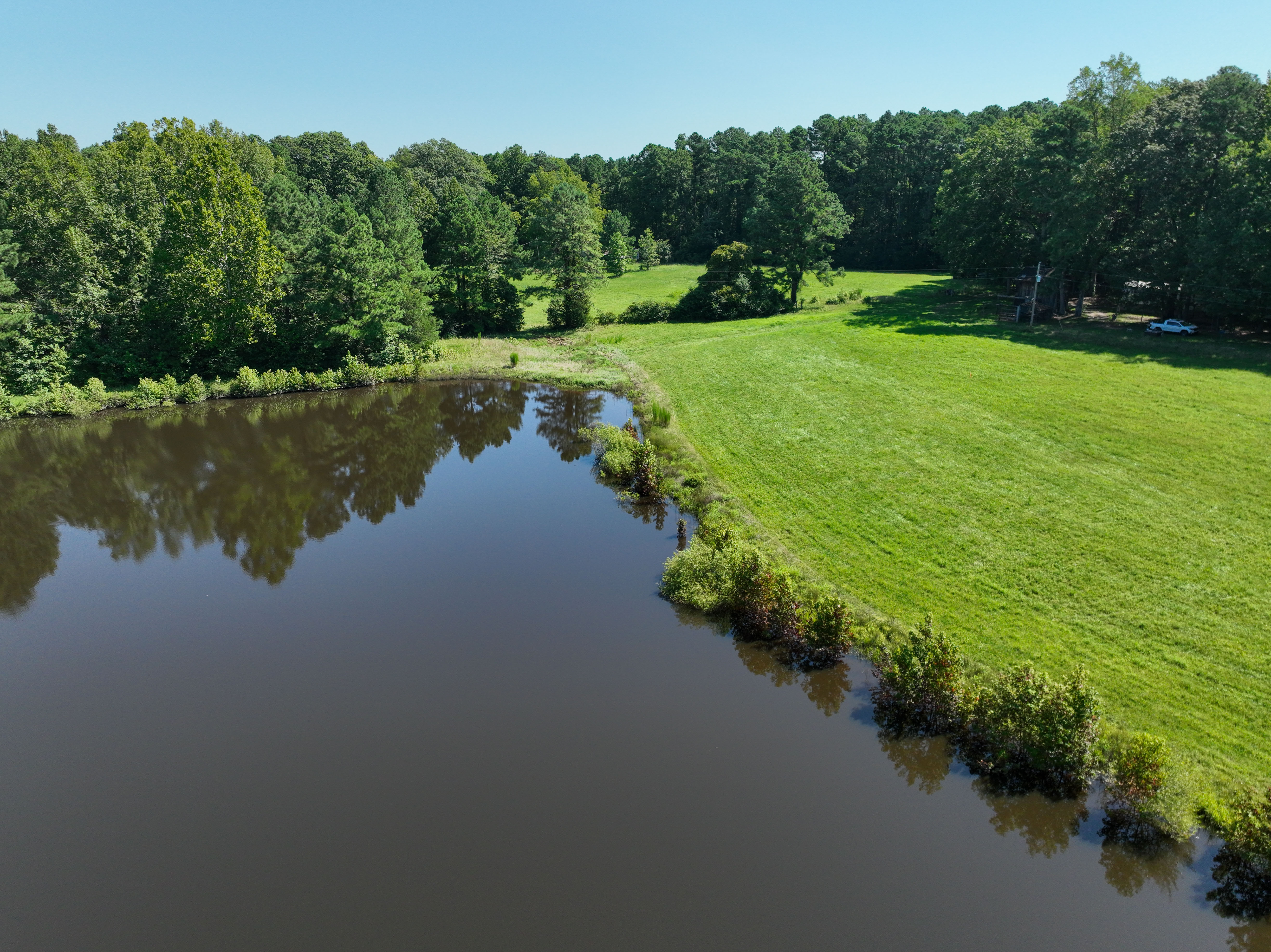Cannady Mill Farms — Homestead Tracts photo 8