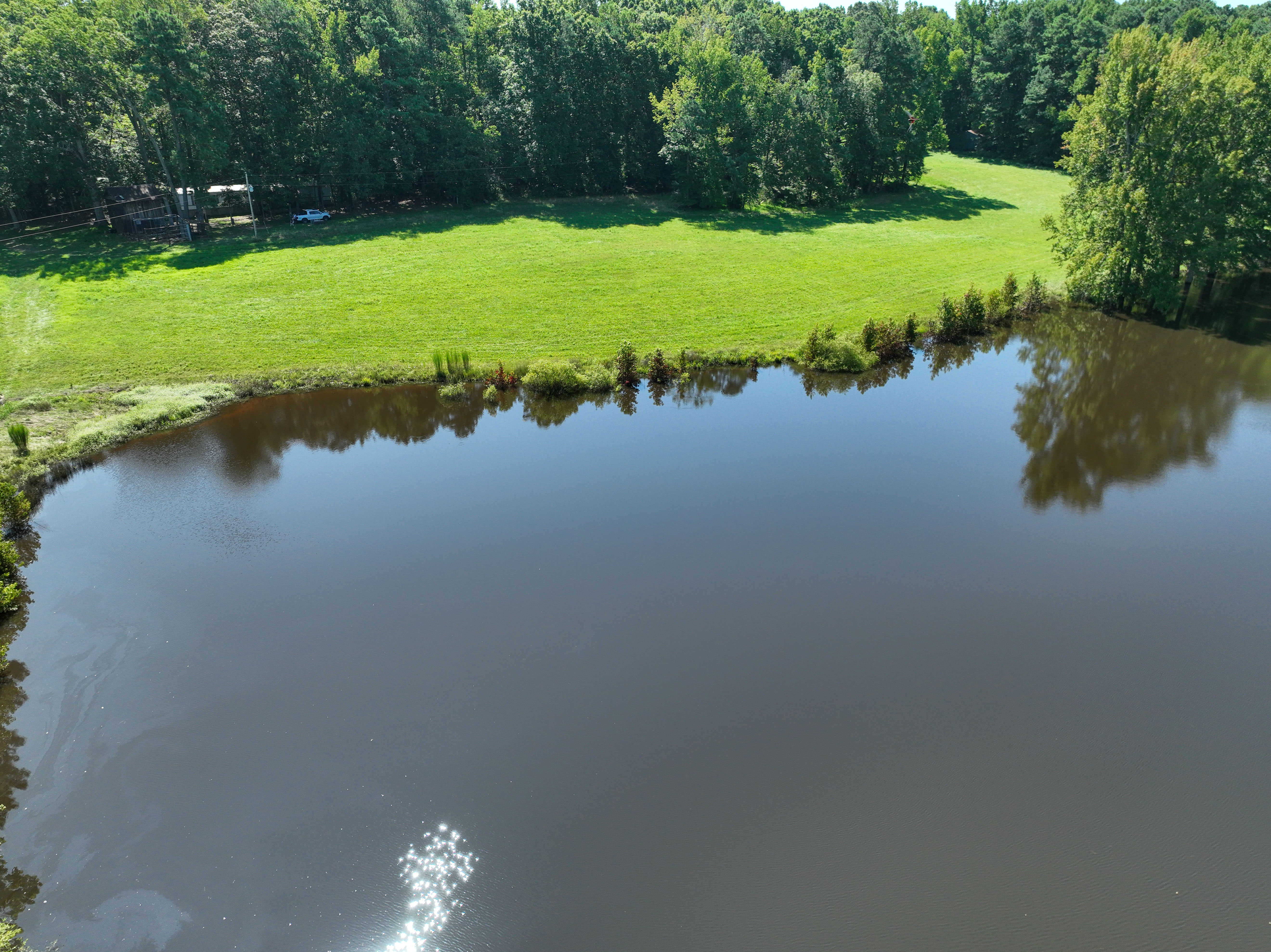 Cannady Mill Farms — Homestead Tracts photo 9
