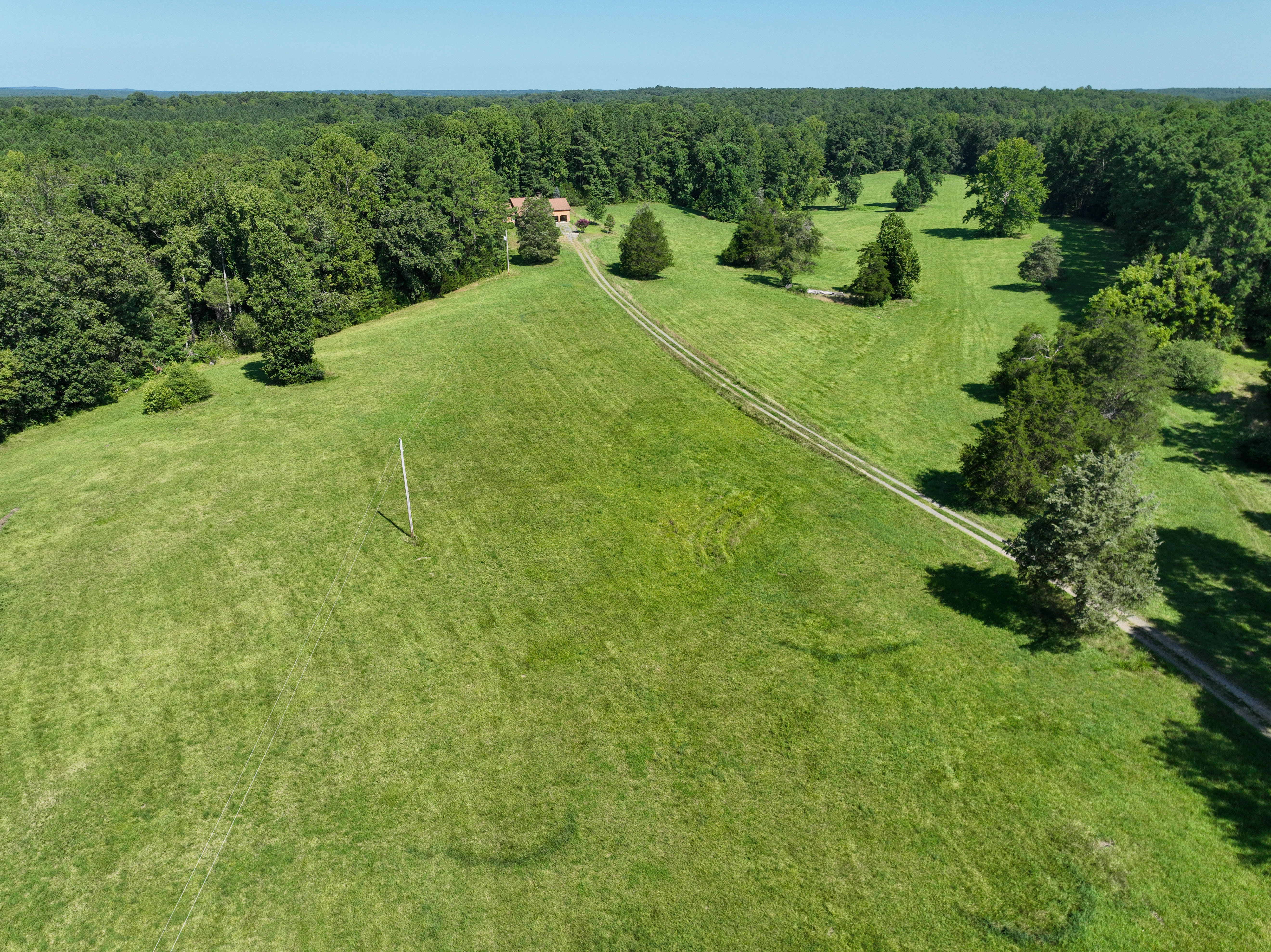 Cannady Mill Farms — Homestead Tracts photo 11