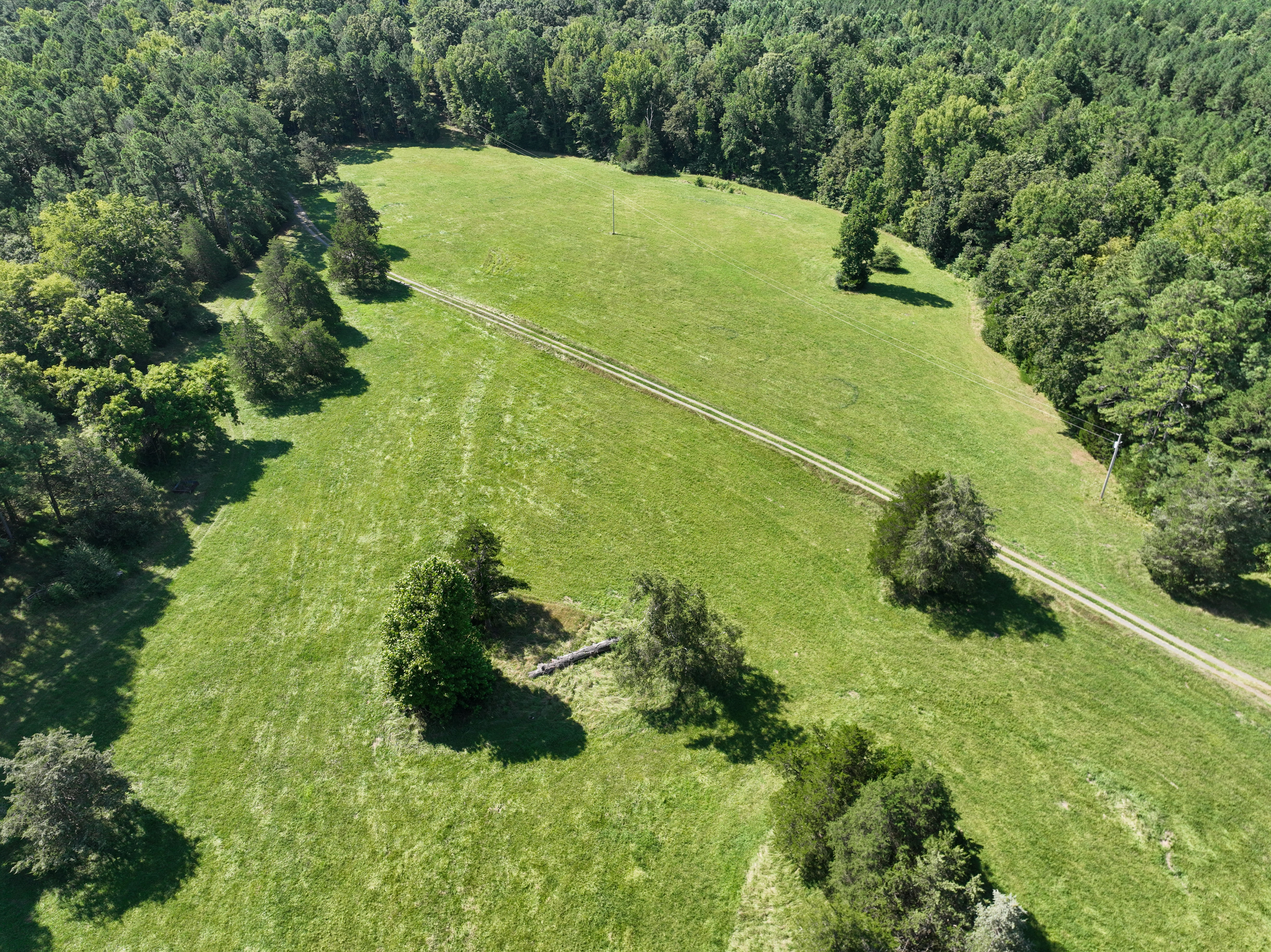 Cannady Mill Farms — Homestead Tracts photo 13