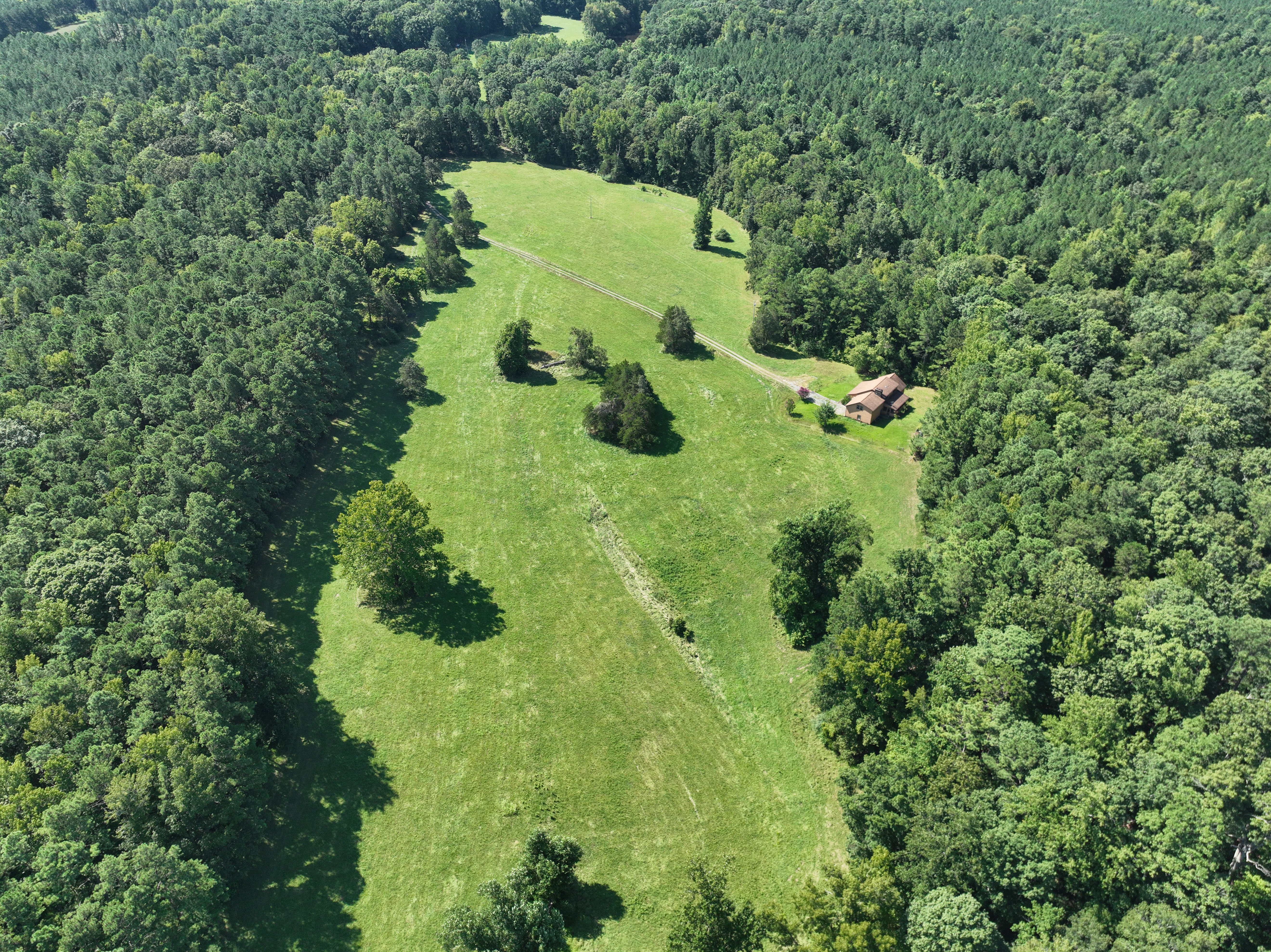 Cannady Mill Farms — Homestead Tracts photo 14