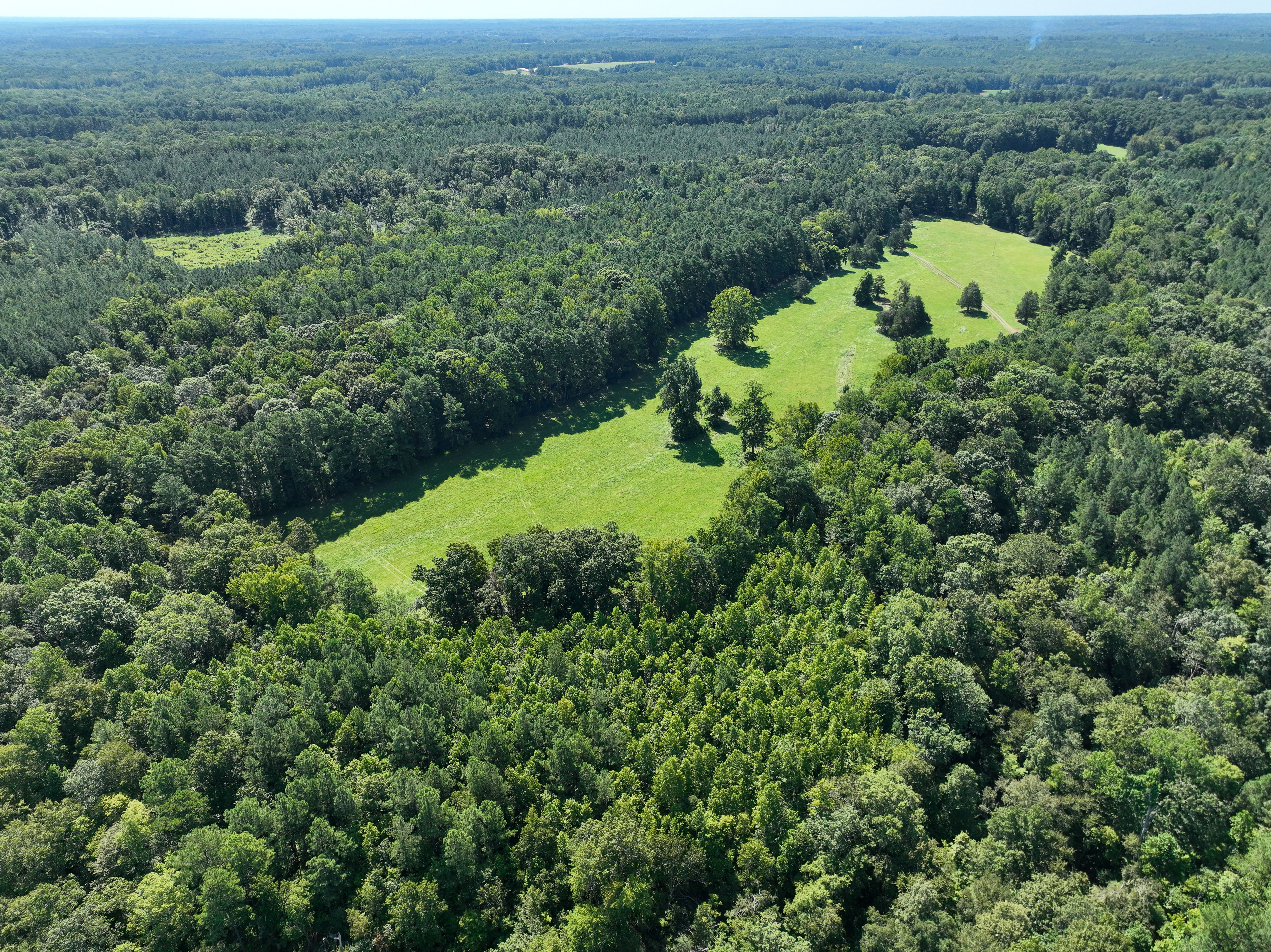 Cannady Mill Farms — Homestead Tracts photo 15