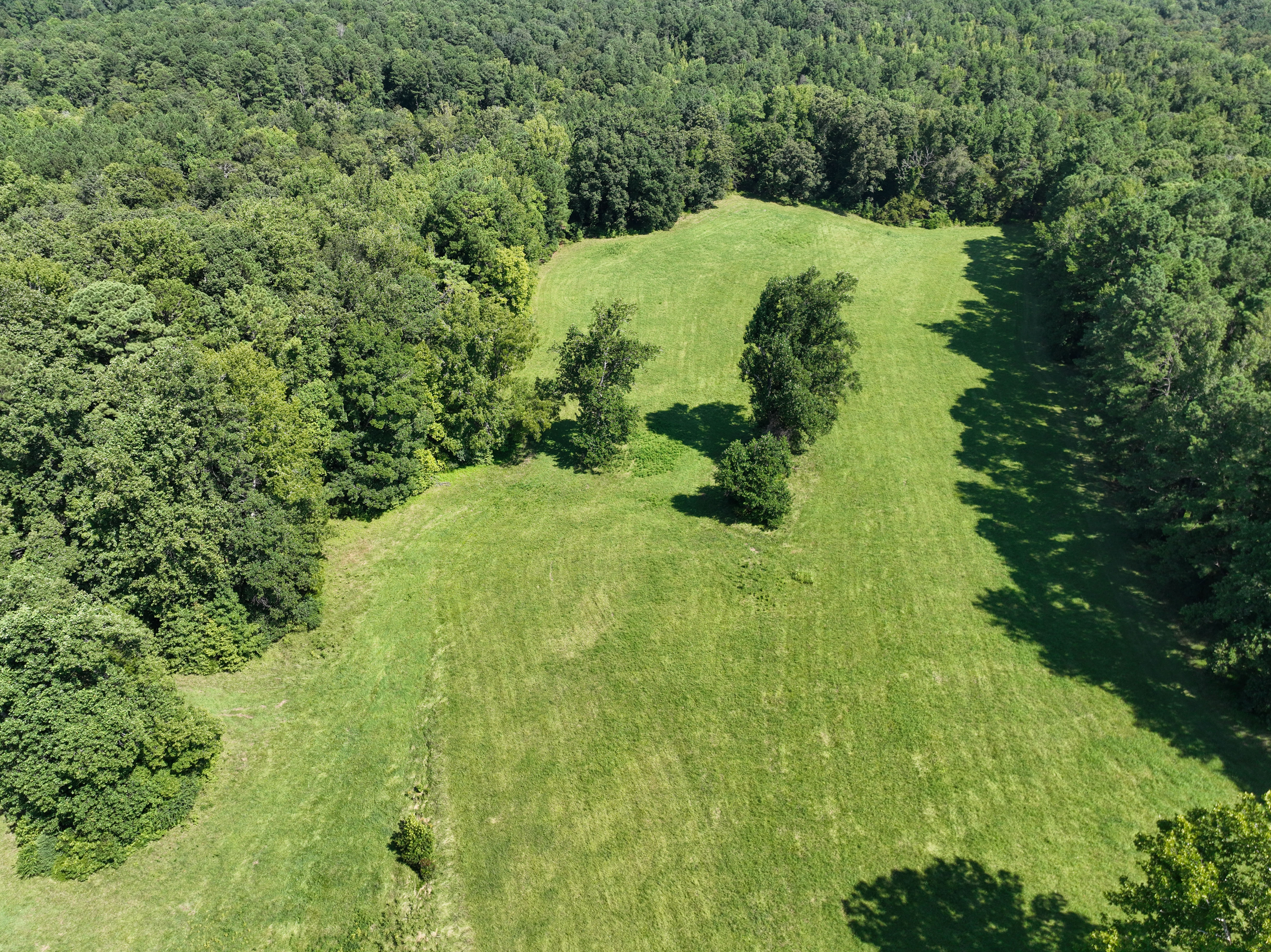 Cannady Mill Farms — Homestead Tracts photo 16