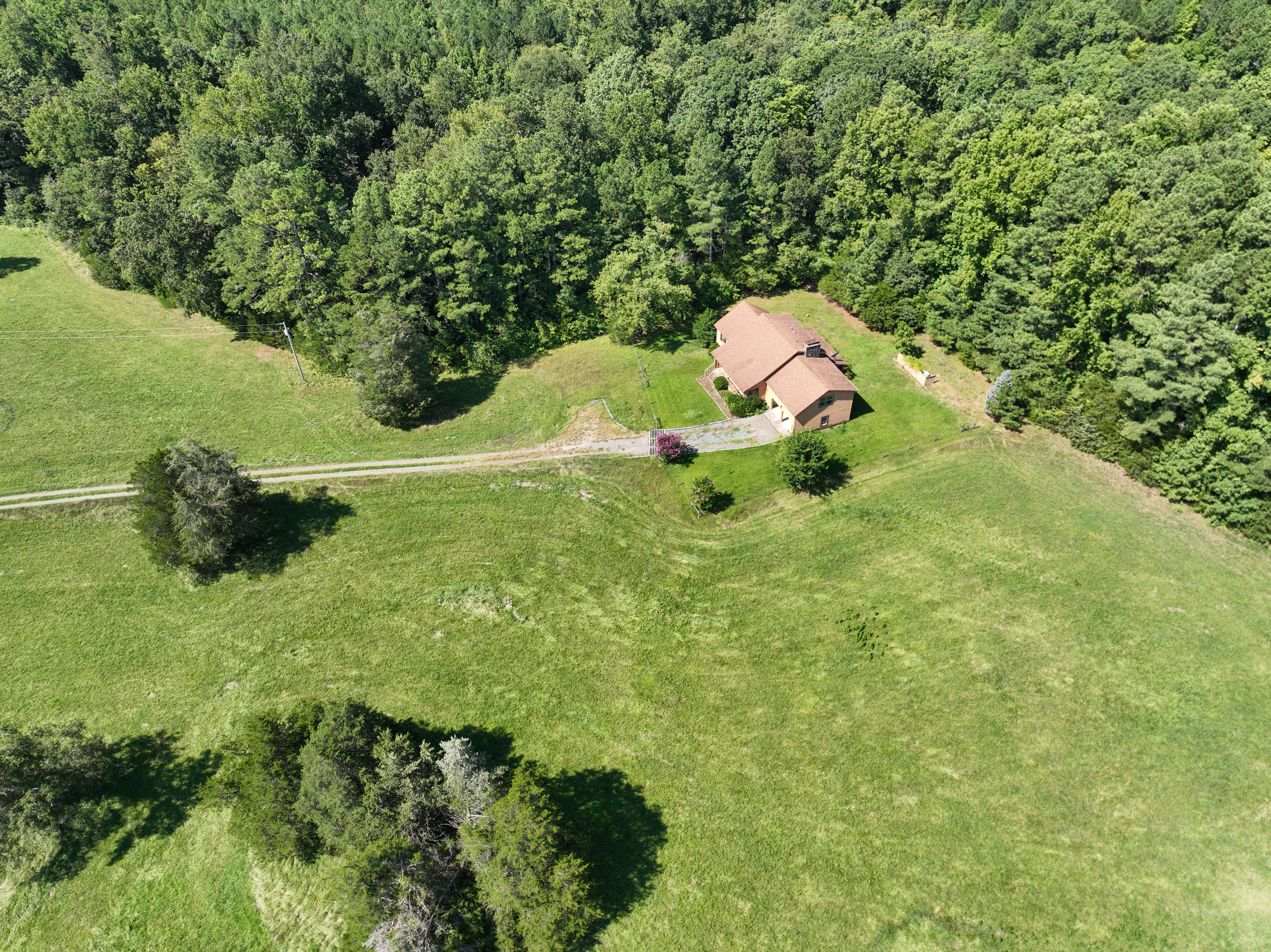 Cannady Mill Farms — Homestead Tracts photo 17