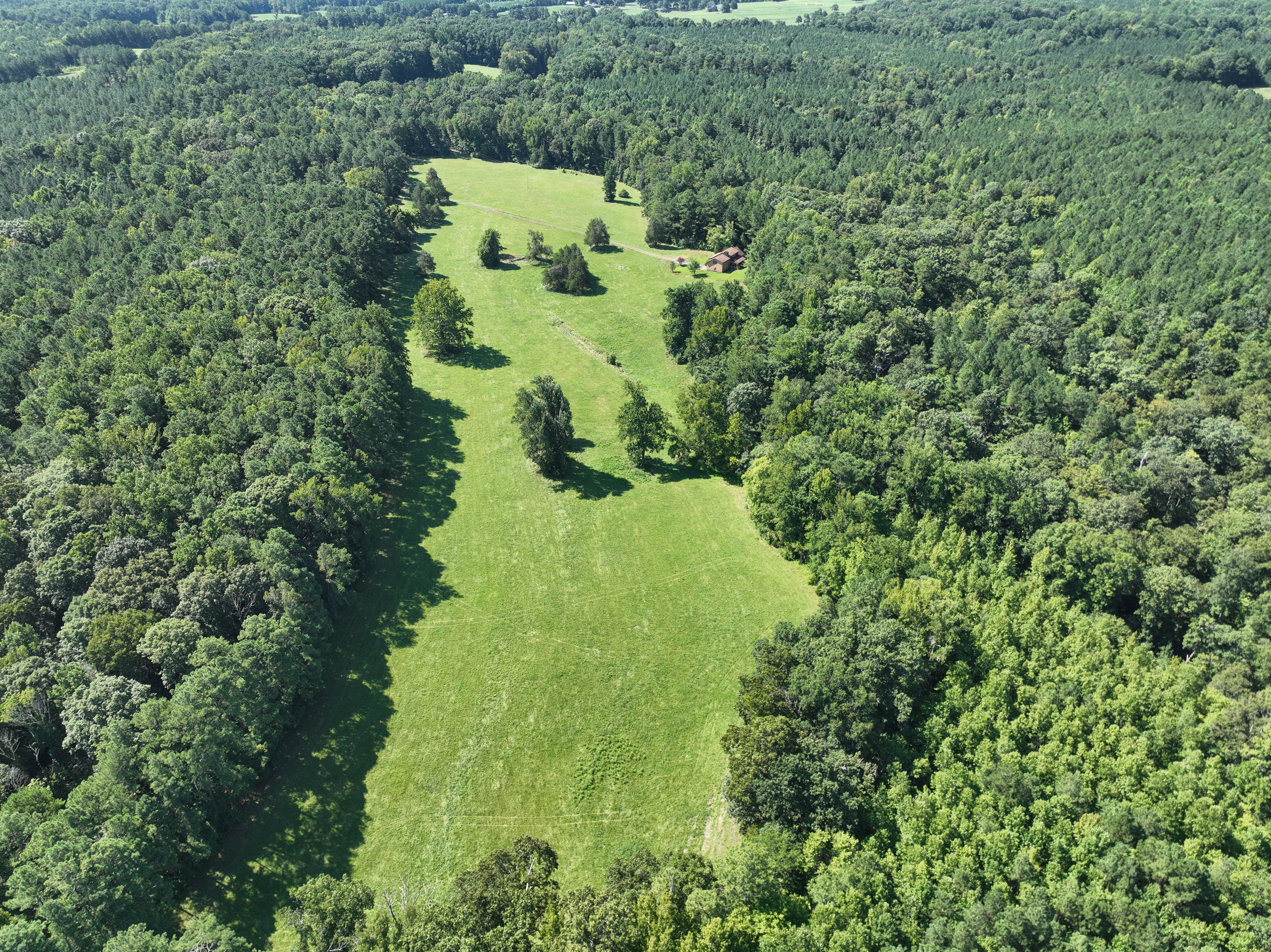 Cannady Mill Farms — Homestead Tracts photo 18