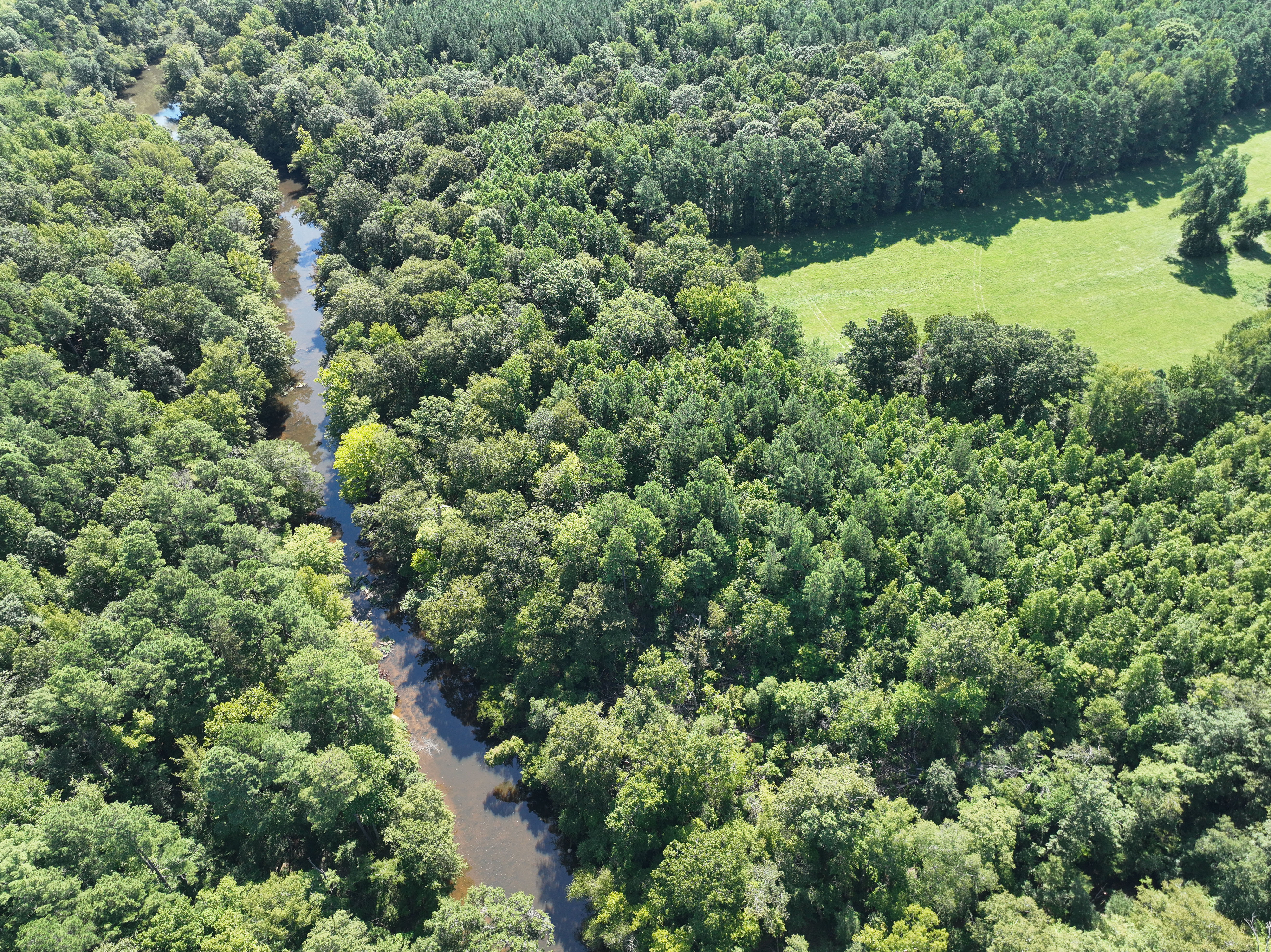 Cannady Mill Farms — Homestead Tracts photo 21