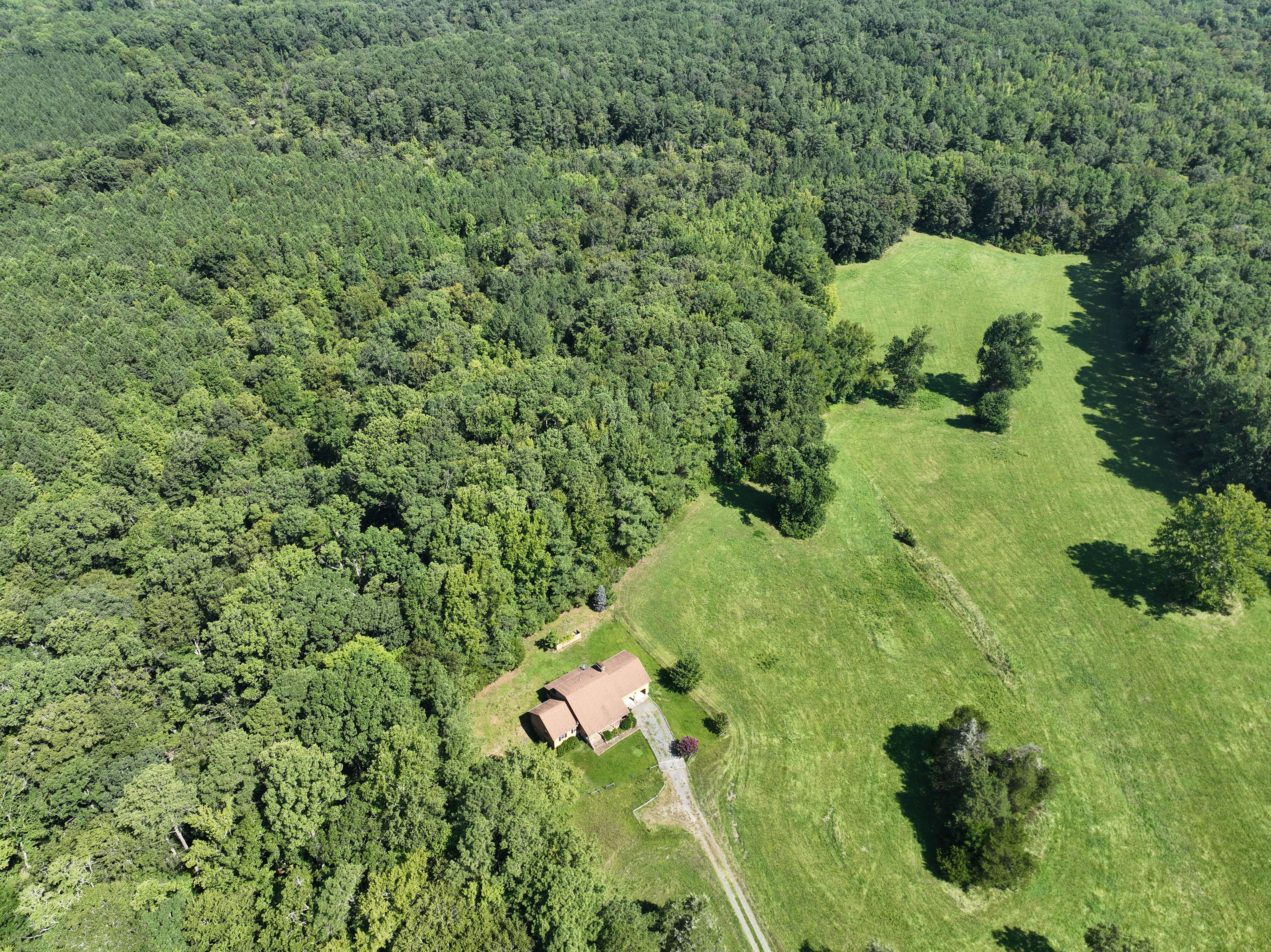 Cannady Mill Farms — Homestead Tracts photo 22