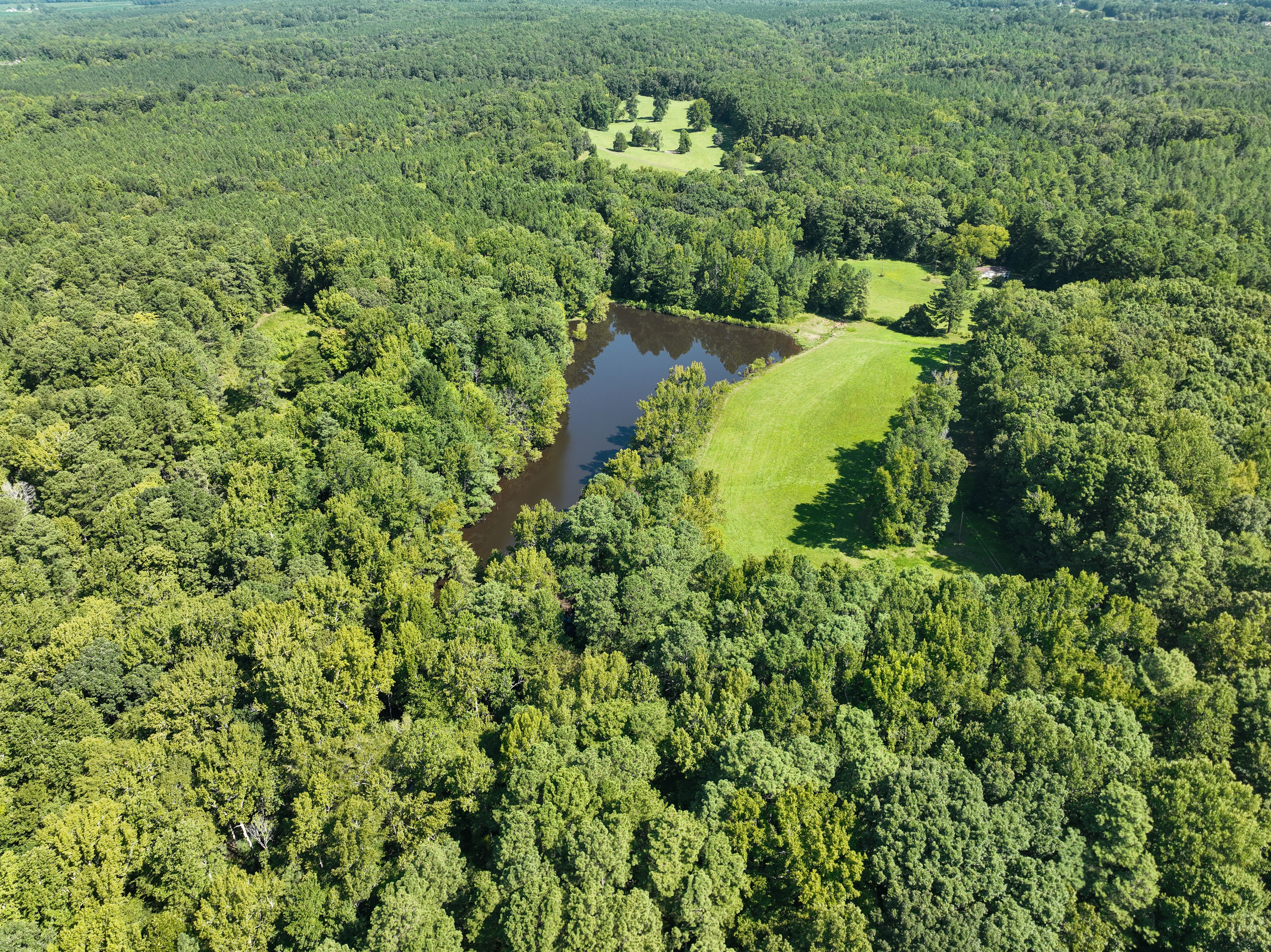 Cannady Mill Farms — Homestead Tracts photo 27