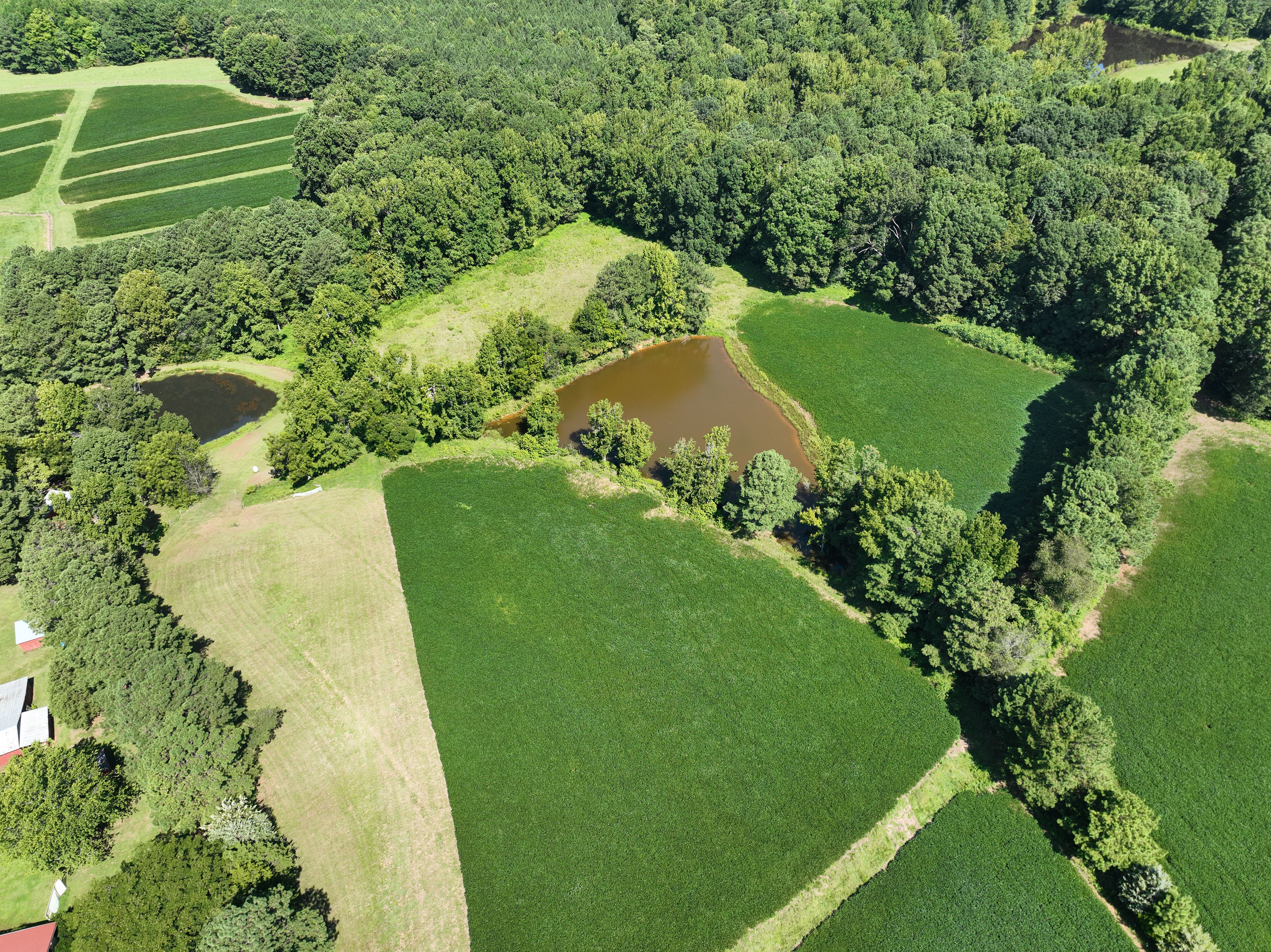 Cannady Mill Farms — Homestead Tracts photo 28