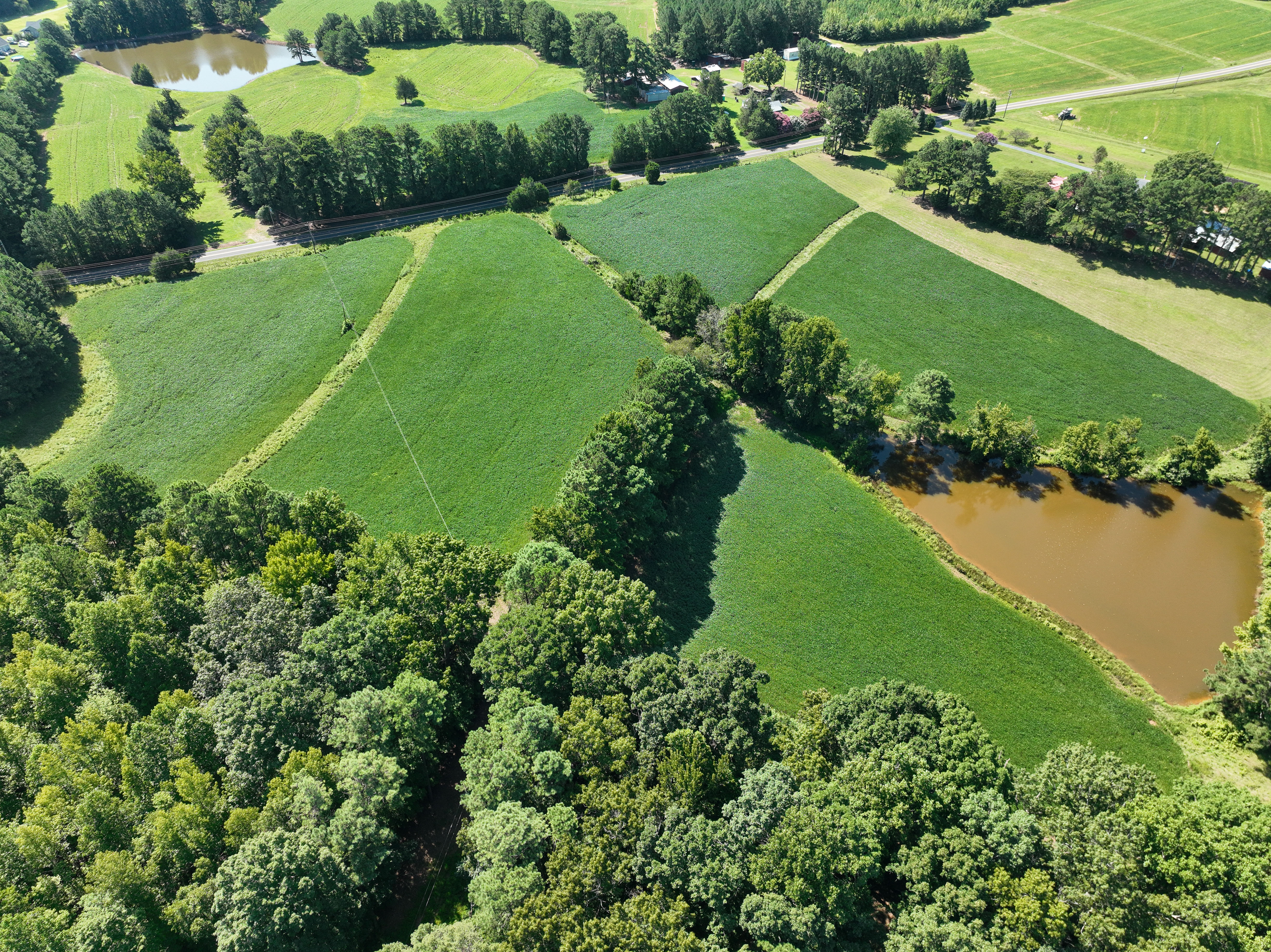 Cannady Mill Farms — Homestead Tracts photo 29