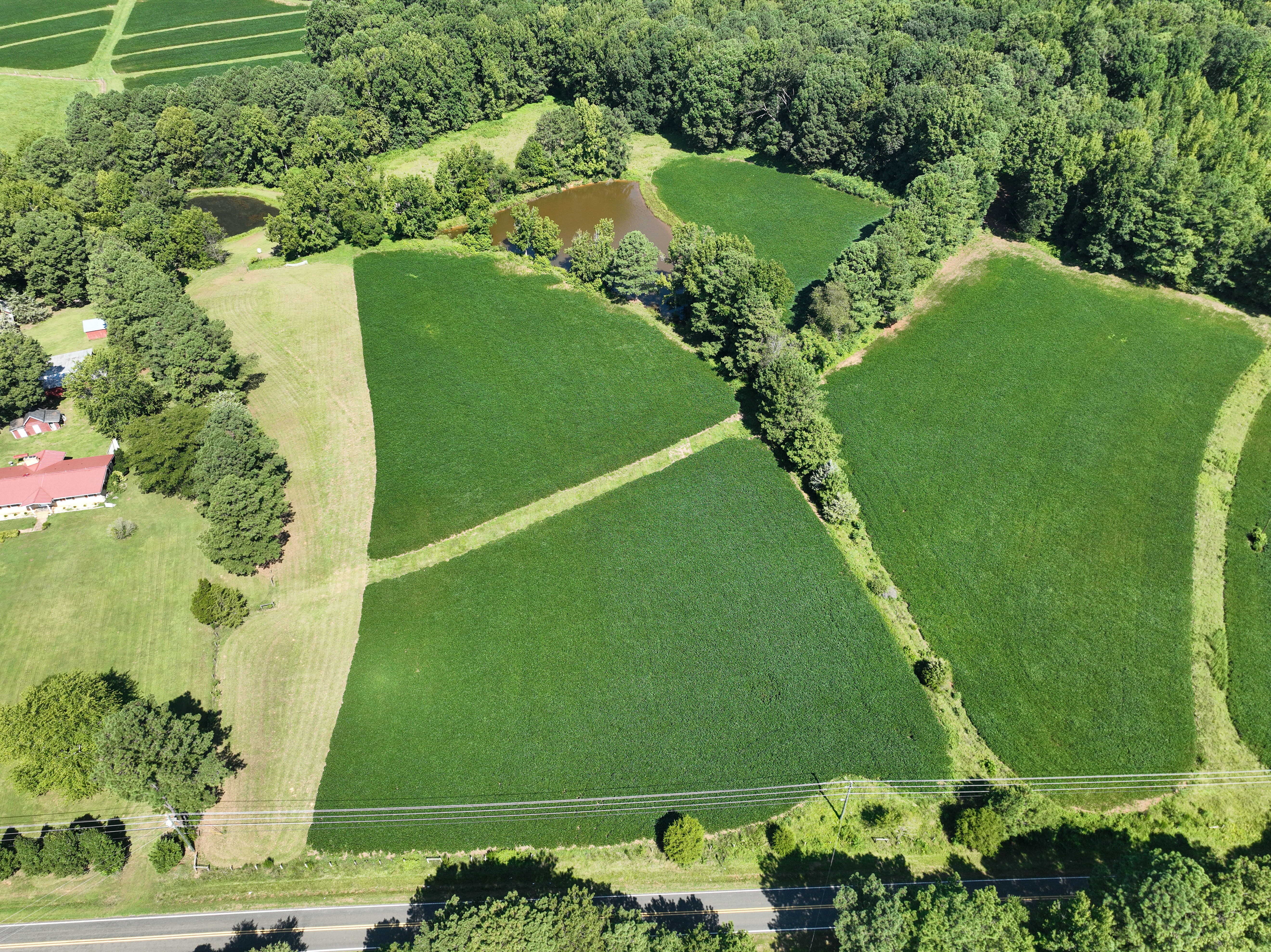Cannady Mill Farms — Homestead Tracts photo 30