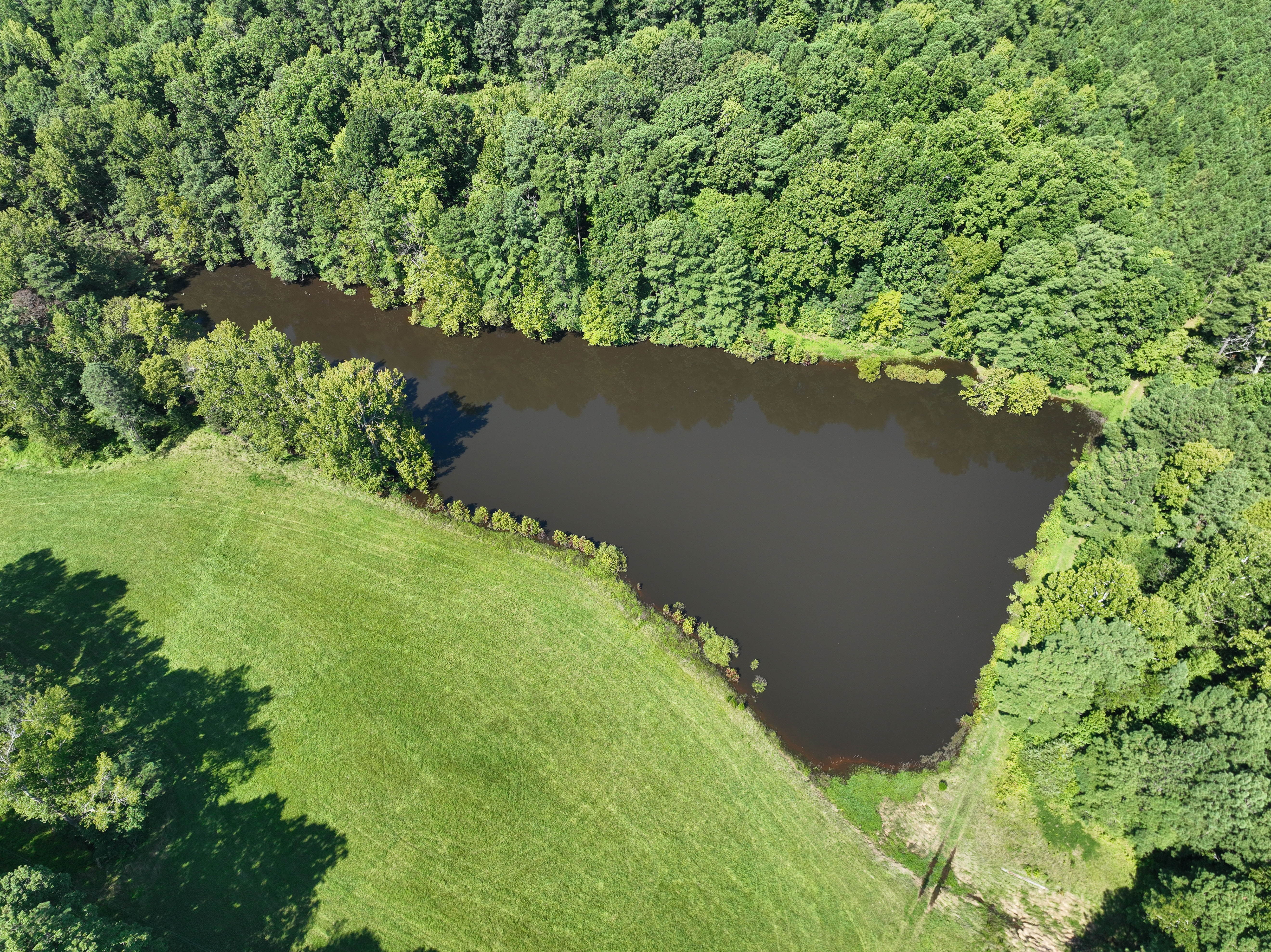 Cannady Mill Farms — Homestead Tracts photo 32