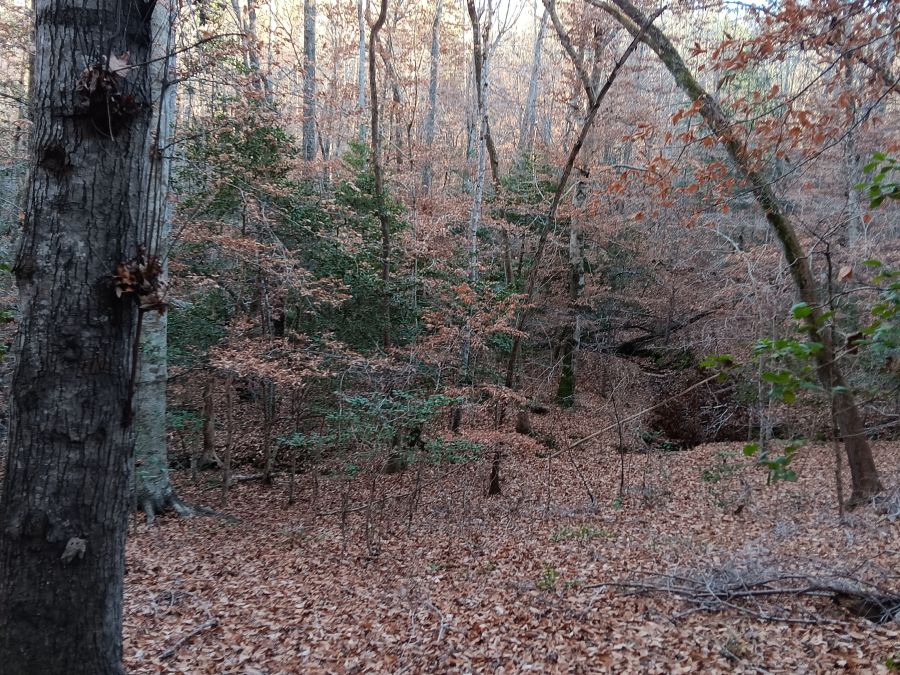 Seven 10–12 Acre Tracts — Southeast Granville