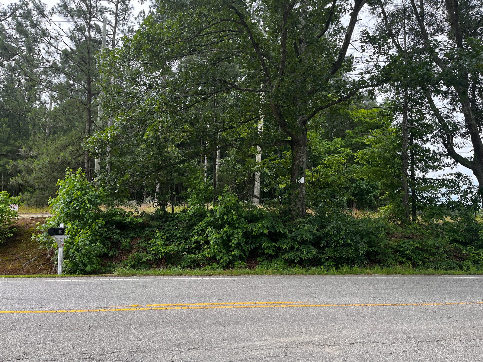Bearpond Road — 1 Acre Lot photo 6