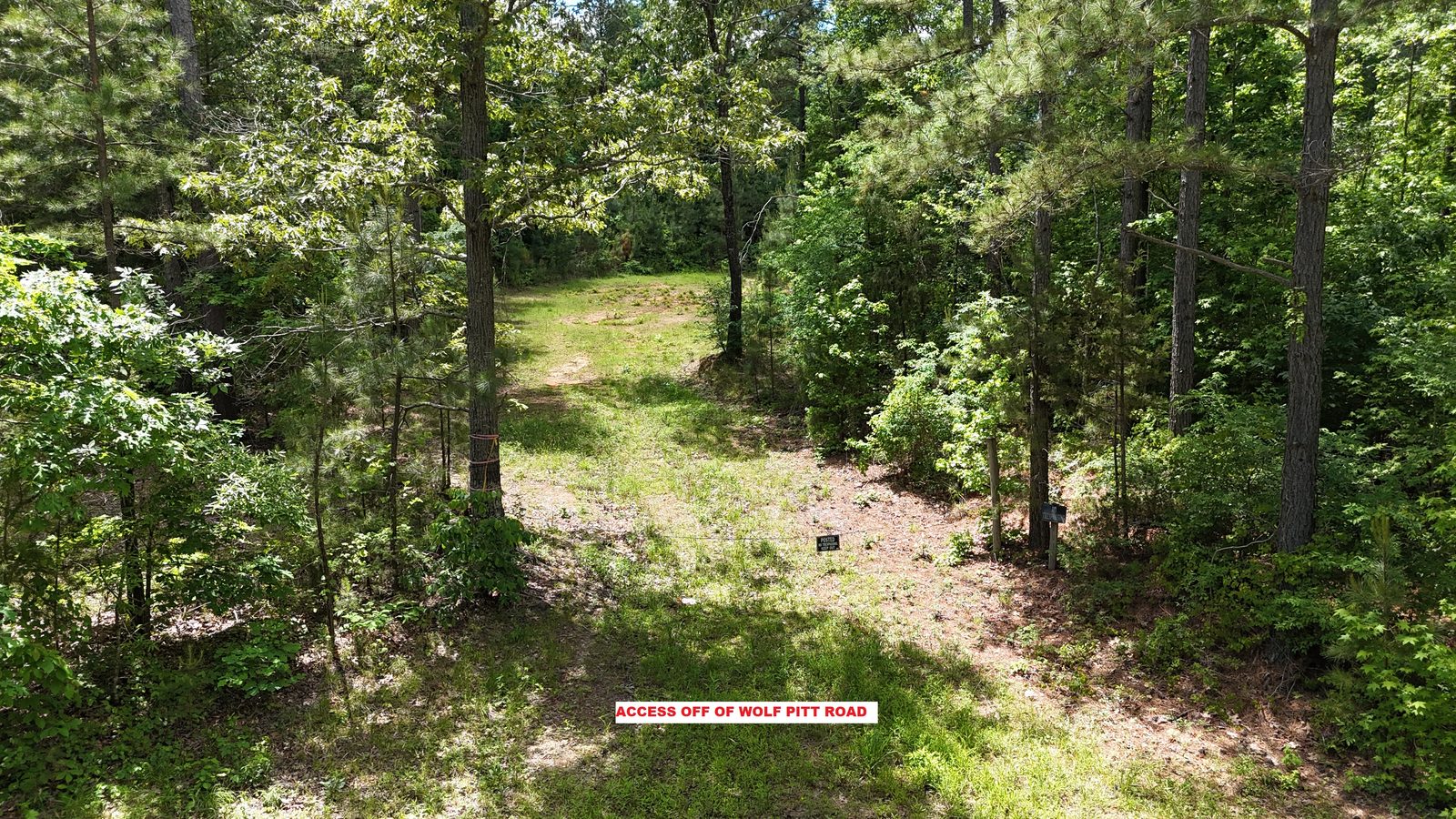 32 Acres — Merchantable Timber photo 7