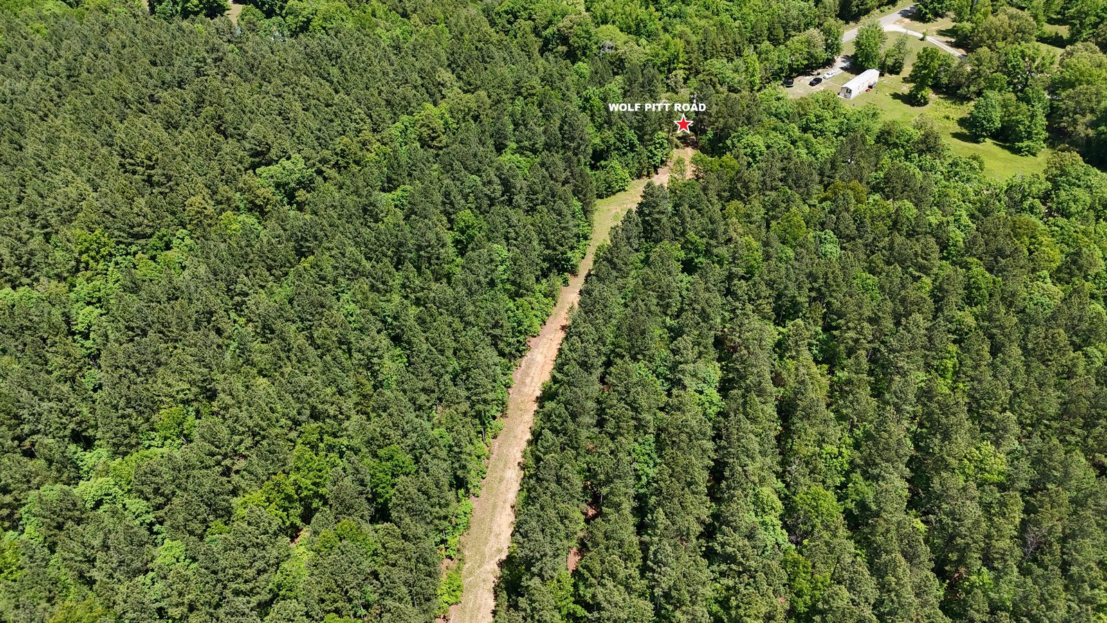 32 Acres — Merchantable Timber photo 9