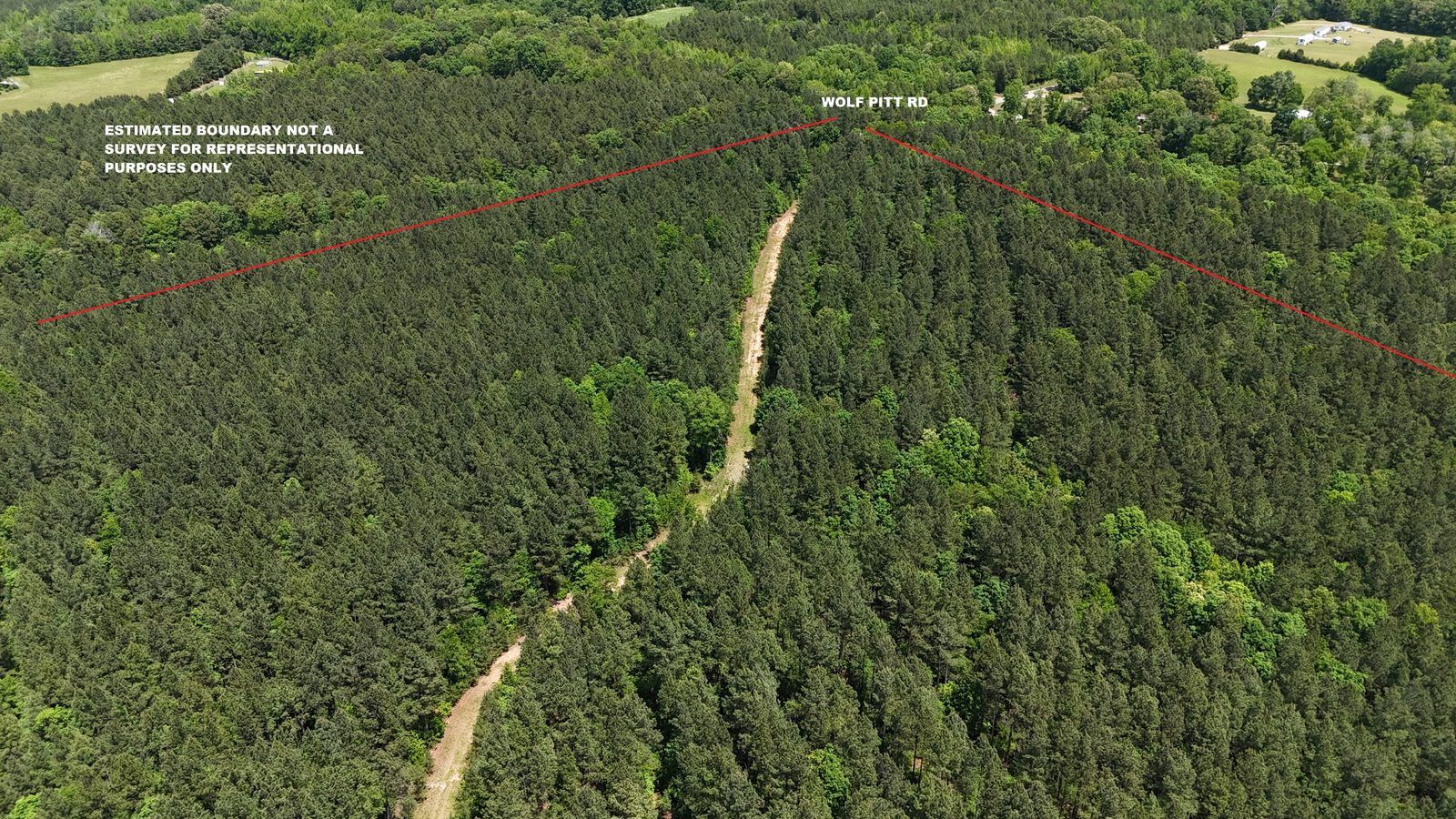 32 Acres — Merchantable Timber photo 10