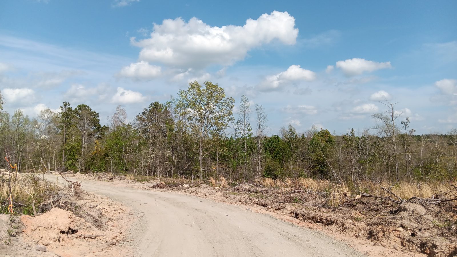 10 to 12+ Acres Near Louisburg photo 29