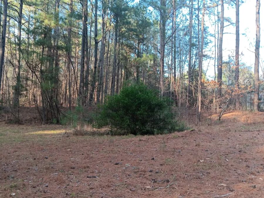New Light Road, North Wake County, old house and building. Close in. photo 2