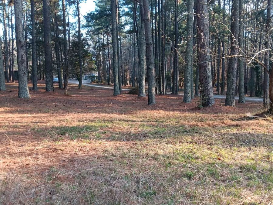 New Light Road, North Wake County, old house and building. Close in. photo 3