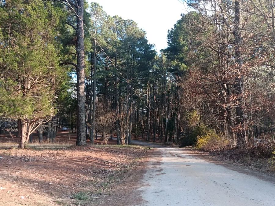 New Light Road, North Wake County, old house and building. Close in. photo 4