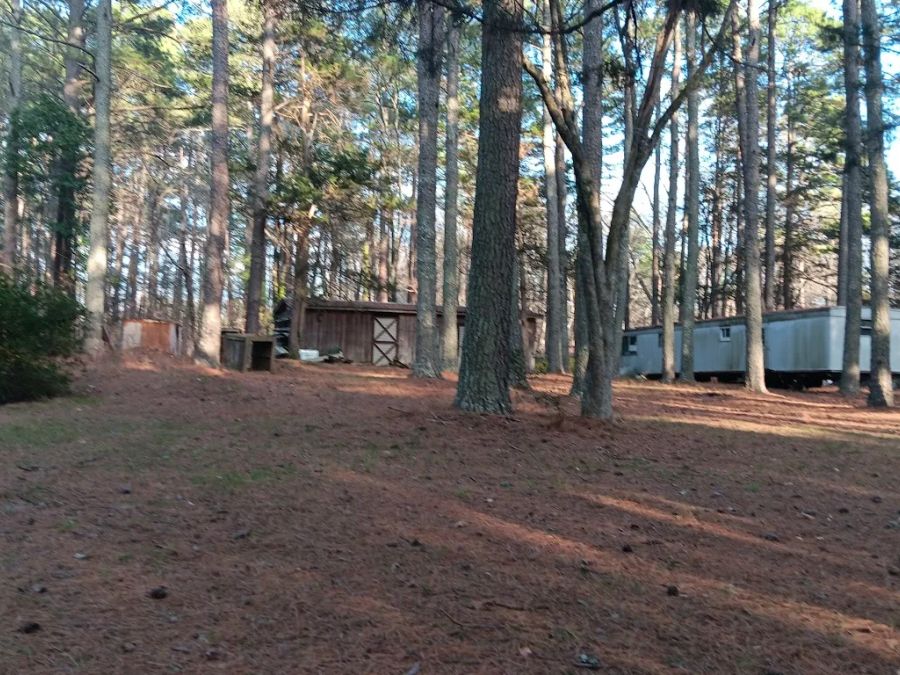 New Light Road, North Wake County, old house and building. Close in. photo 10