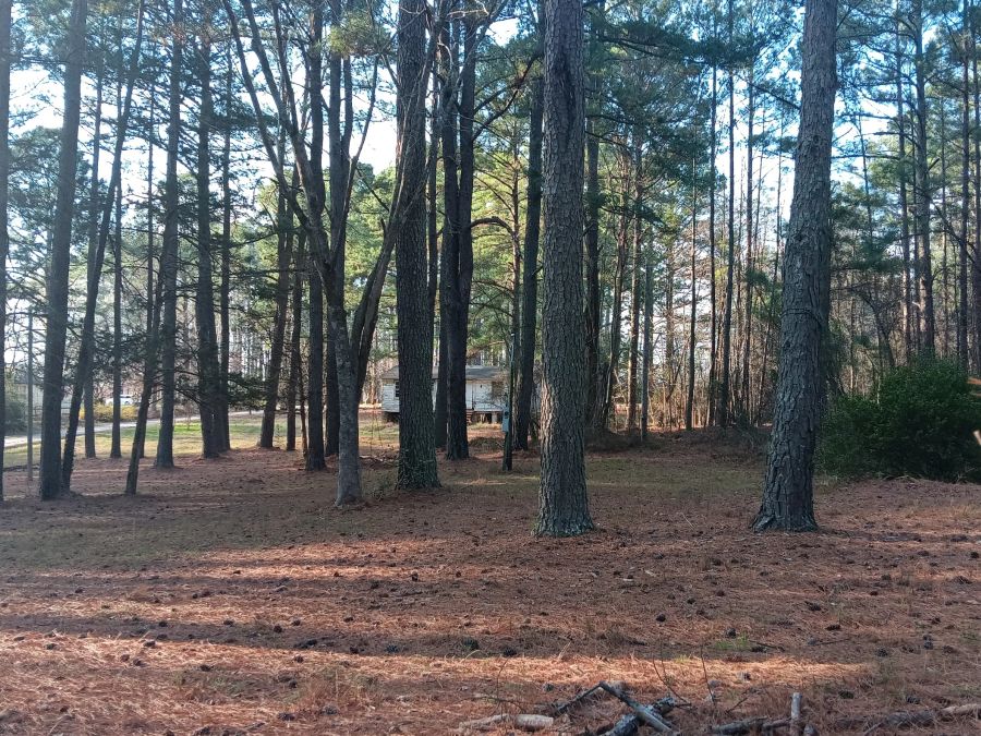 New Light Road, North Wake County, old house and building. Close in. photo 11