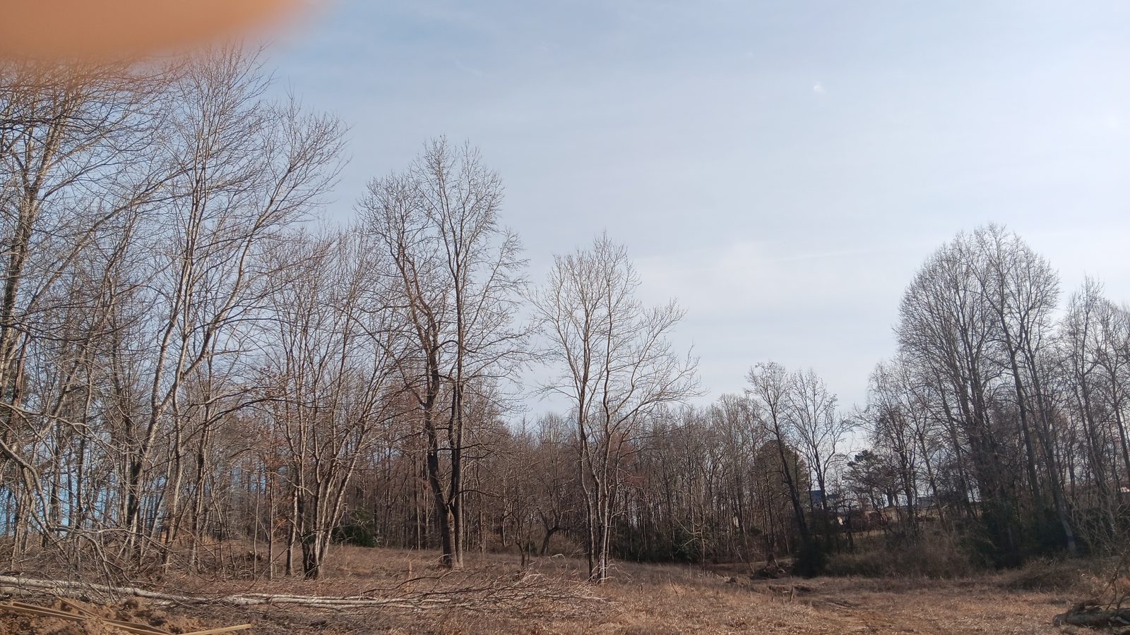 10 to 12+ Acres Near Louisburg photo 10