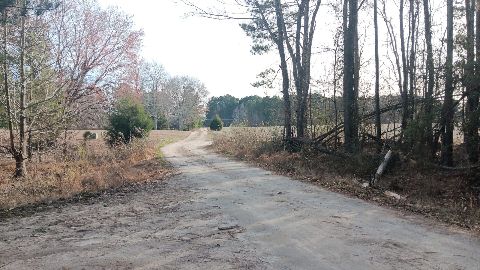 10 to 12+ Acres Near Louisburg photo 17
