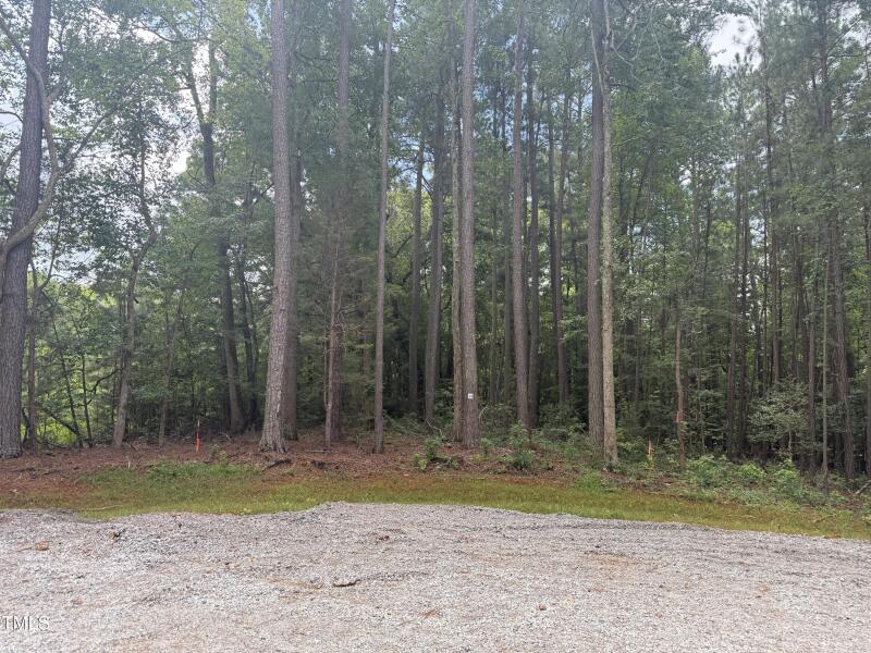3847 Furrow Lane