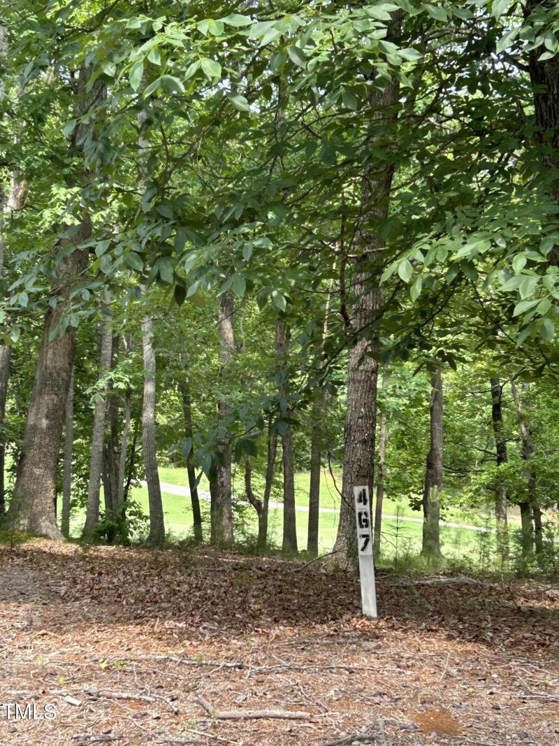 11467 Club Drive