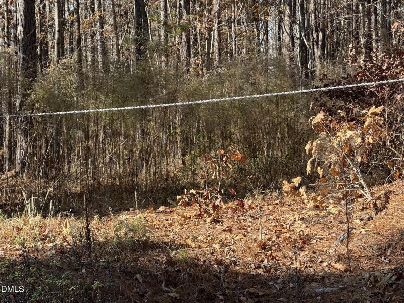 525 Montgomery Road