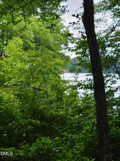 Lot 23 Sail View Lane photo 3