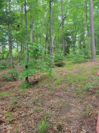 Lot 23 Sail View Lane photo 4