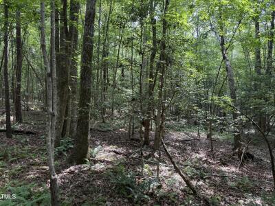 3848 Furrow Lane photo 4