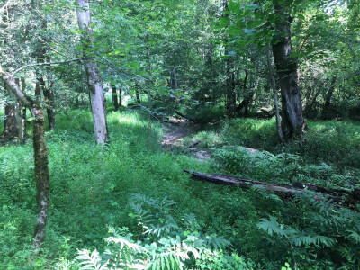 00 Vick Road photo 9