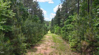 Lot 14 Wolf Pit Road photo 8