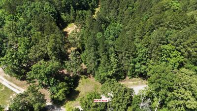 Lot 13 Wolf Pit Rd Road photo 5