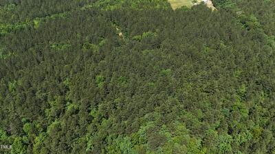 Lot 13 Wolf Pit Rd Road photo 6