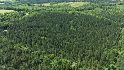 Lot 13 Wolf Pit Rd Road photo 9